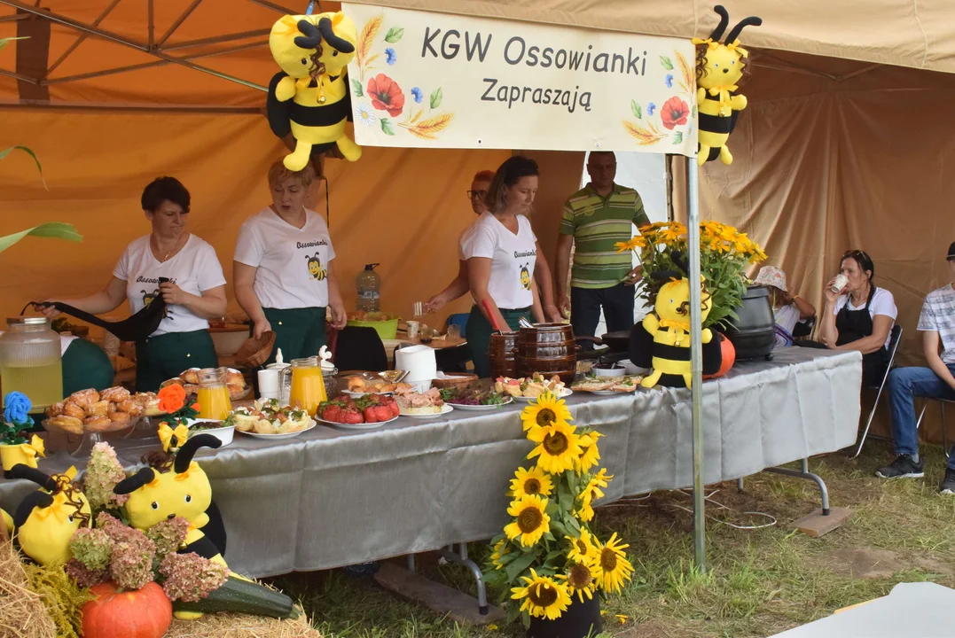 Dożynki gminy Stryków w Warszewicach