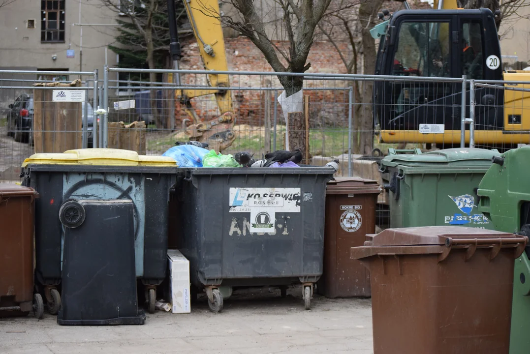 Mieszkańcy mają dość zalegających śmieci w centrum Łodzi. „Flaszek jest więcej niż robotników” [zdjęcia]