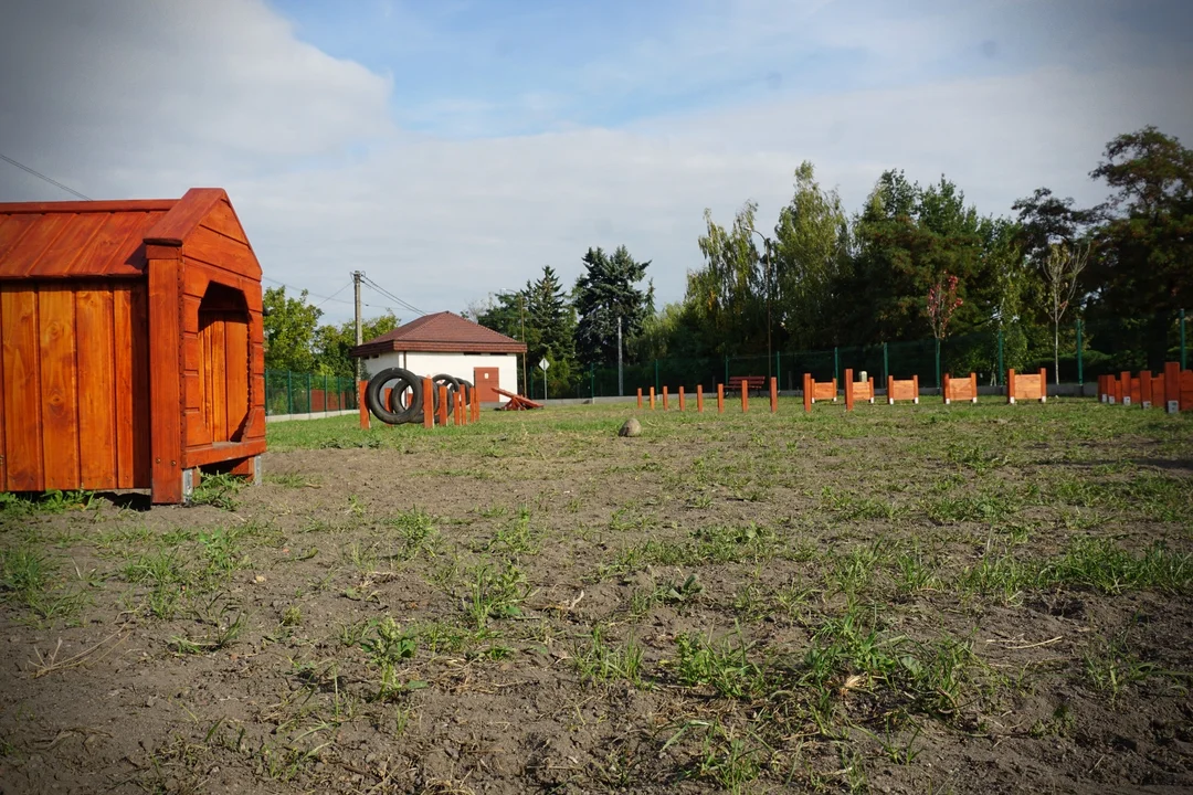 Kolejne zmiany na kutnowskim osiedlu. Powstały m.in. wybiegi dla psów [ZDJĘCIA] - Zdjęcie główne