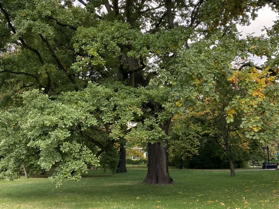 Park Źródliska jesienią