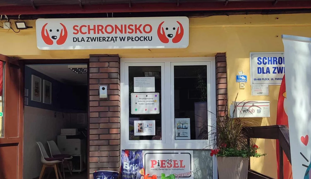 Burza wokół płockiego schroniska. Sprawdzamy, jak wygląda w środku [ZDJĘCIA] - Zdjęcie główne