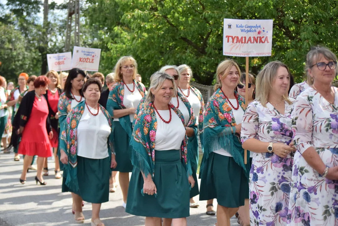 Dożynki gminy Stryków w Warszewicach