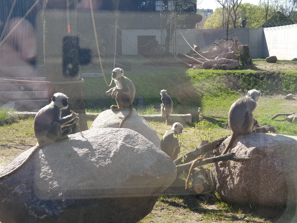 Orientarium ZOO Łódź