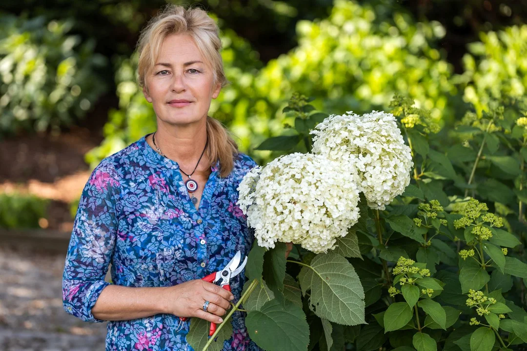 Weekend pachnący hortensjami. Wybierz się na spacer z Hanną Grzeszczak-Nowak po pabianickim Afloparku - Zdjęcie główne