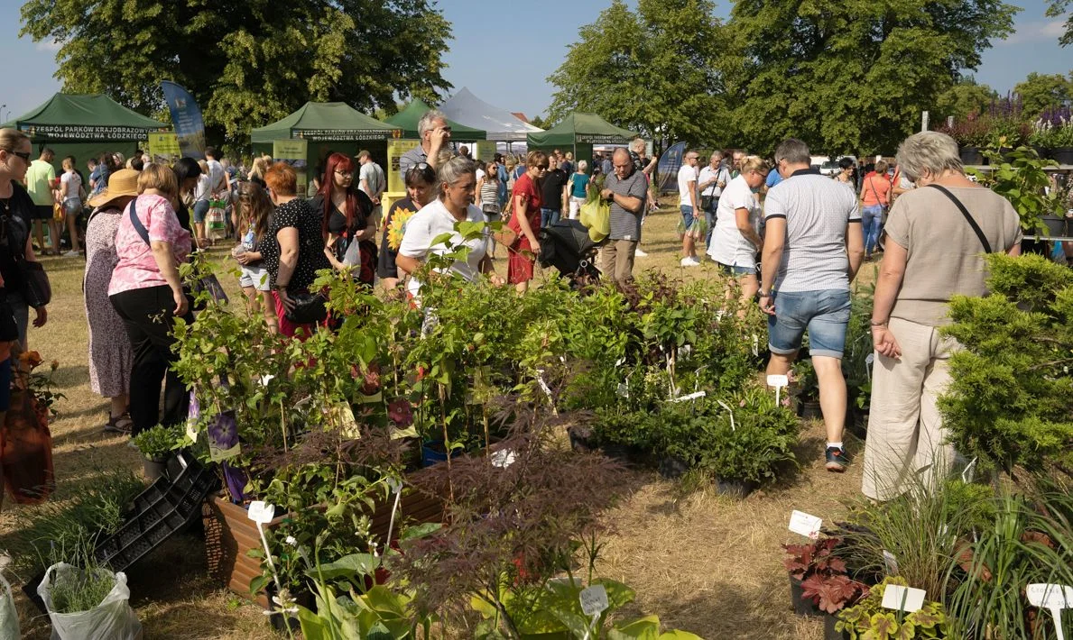 Festiwal w bajecznej scenerii, przybyły tłumy. To największa taka impreza w regionie [ZDJĘCIA] - Zdjęcie główne