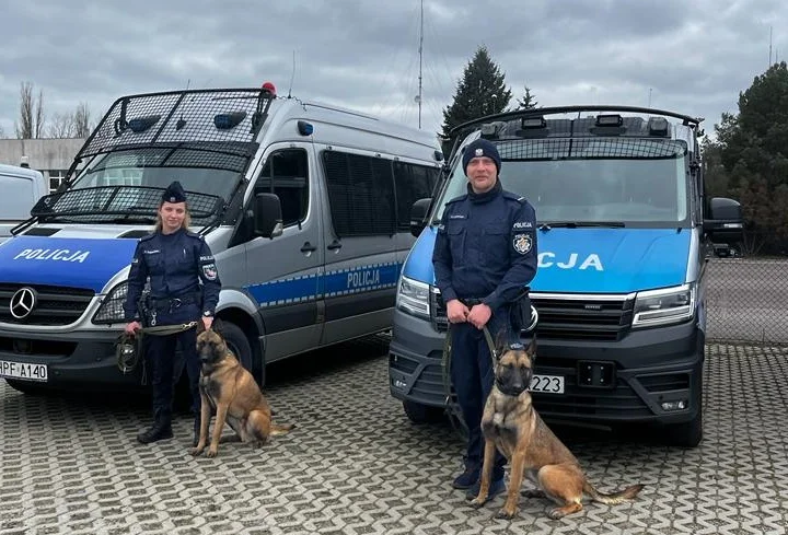 Nowi funkcjonariusze w szeregach łódzkiej policji. Oskar i Rewolta pomogą ścigać bandytów - Zdjęcie główne