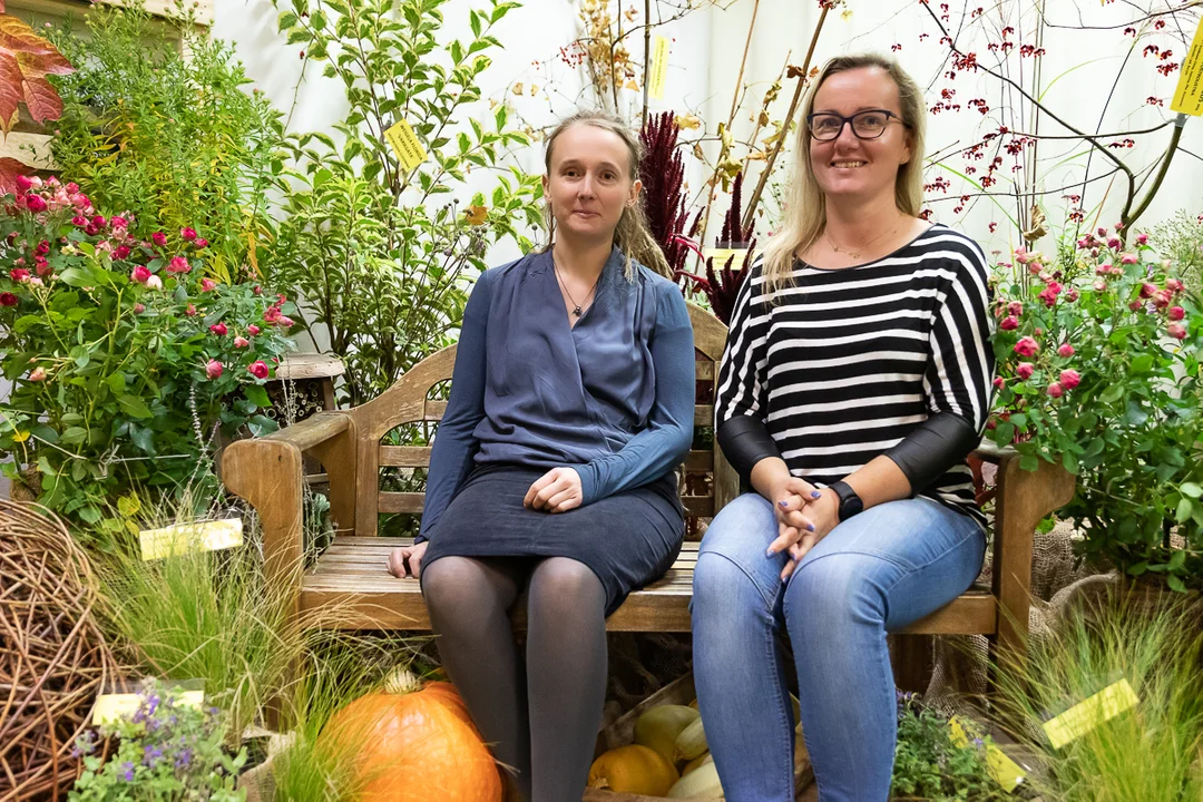 Łodzianie obejrzeli tematyczną, jesienną wystawę w Ogrodzie Botanicznym.