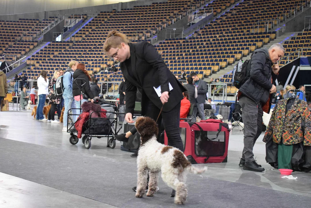 Wystawa psów w Atlas Arenie