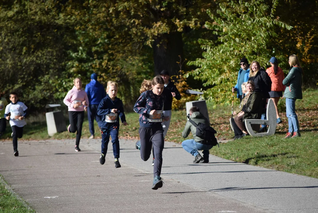 Jesienny Festiwal Szakala