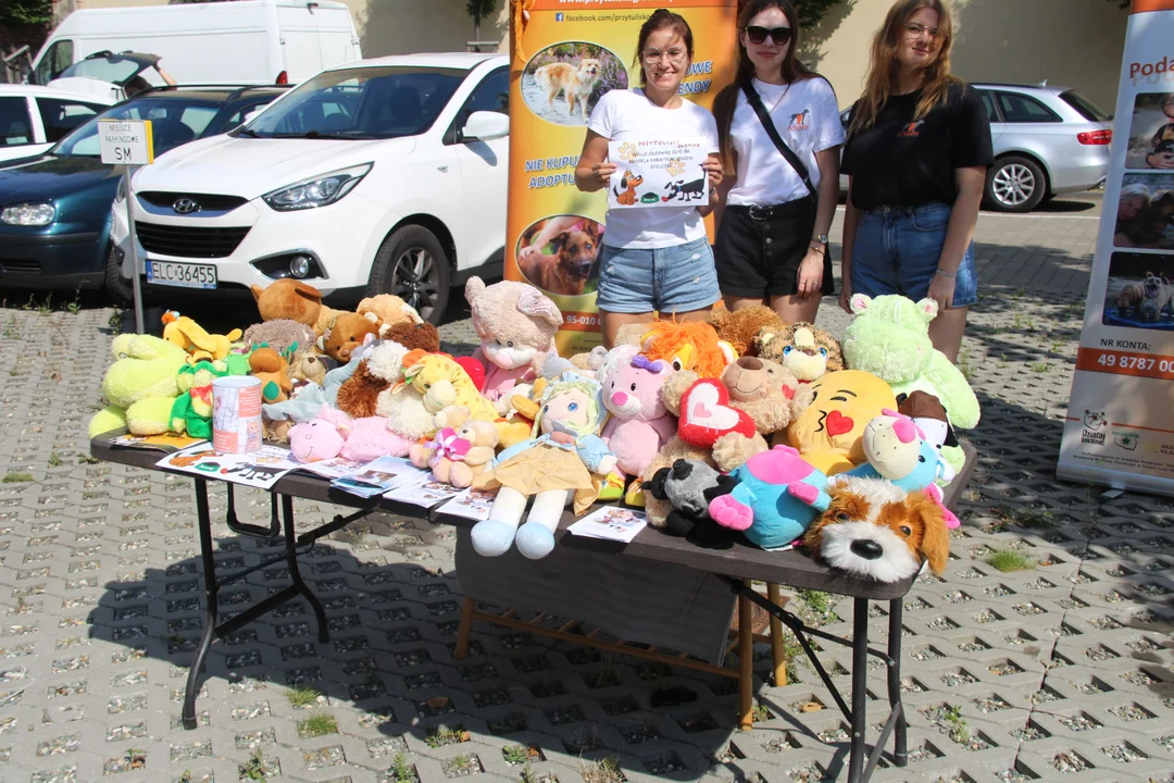 Animal Patrol świętuje swoje 8. urodziny