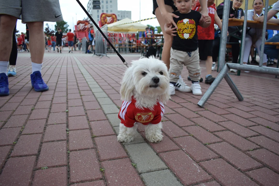 Dzień Dziecka z Widzew Łódź