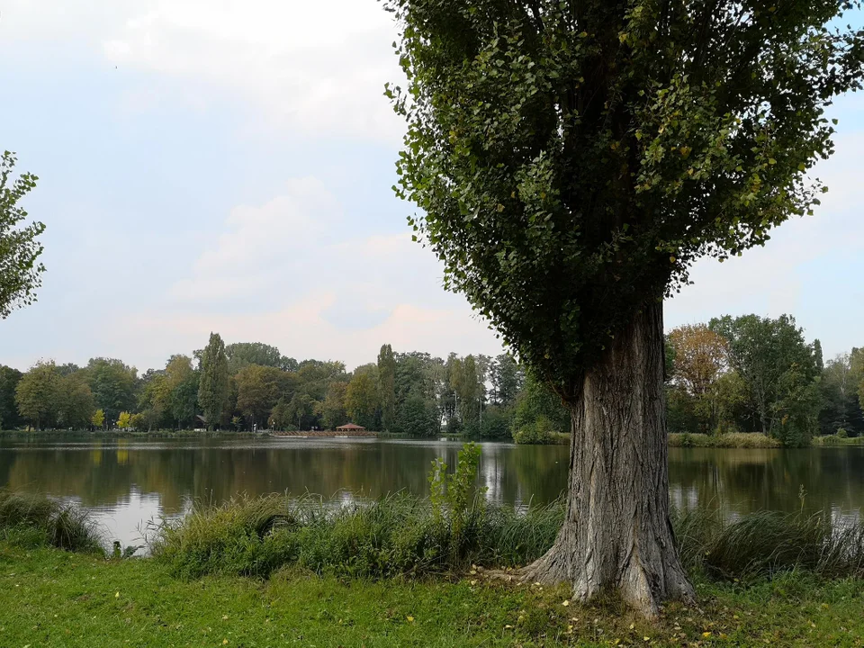 Pierwsze oznaki jesieni w zgierskim parku - zobacz zdjęcia!