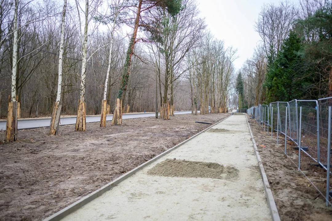 Przebudowa ważnej ulicy na Teofilowie. Zarząd Dróg i Transportu informuje o postępach inwestycji [ZDJĘCIA] - Zdjęcie główne