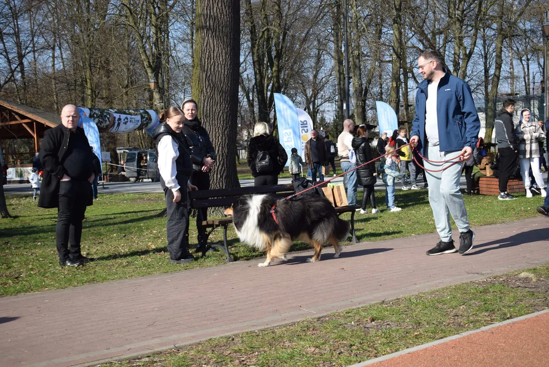 Bieg Tropem Wilczym w Zgierzu