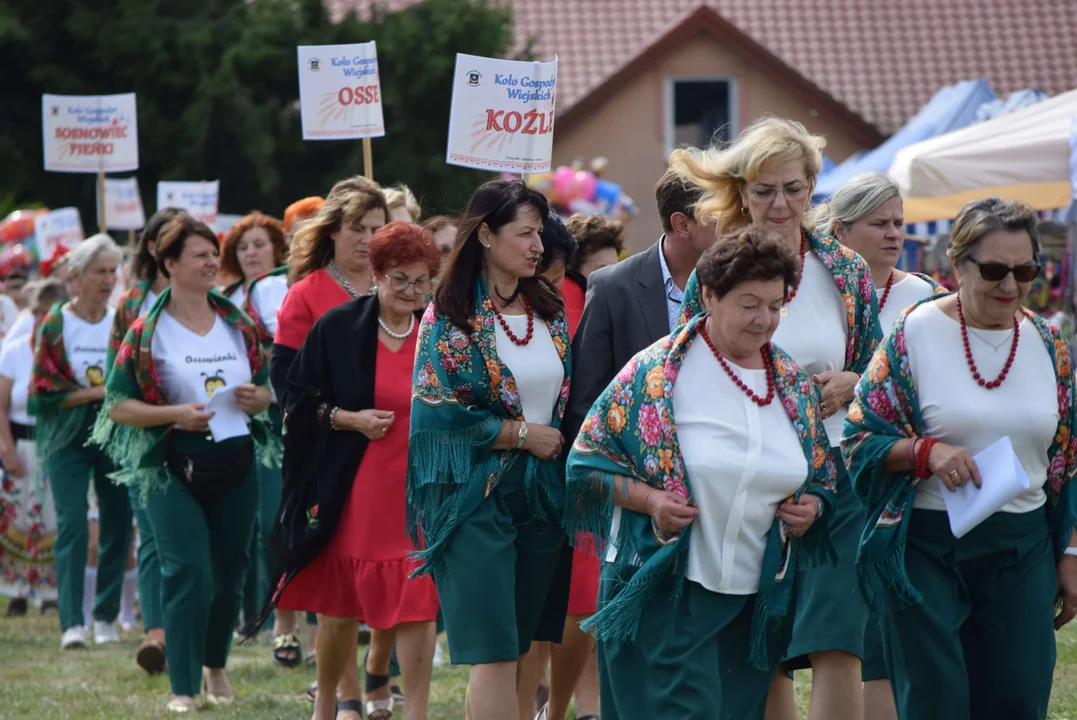 Dożynki gminy Stryków w Warszewicach