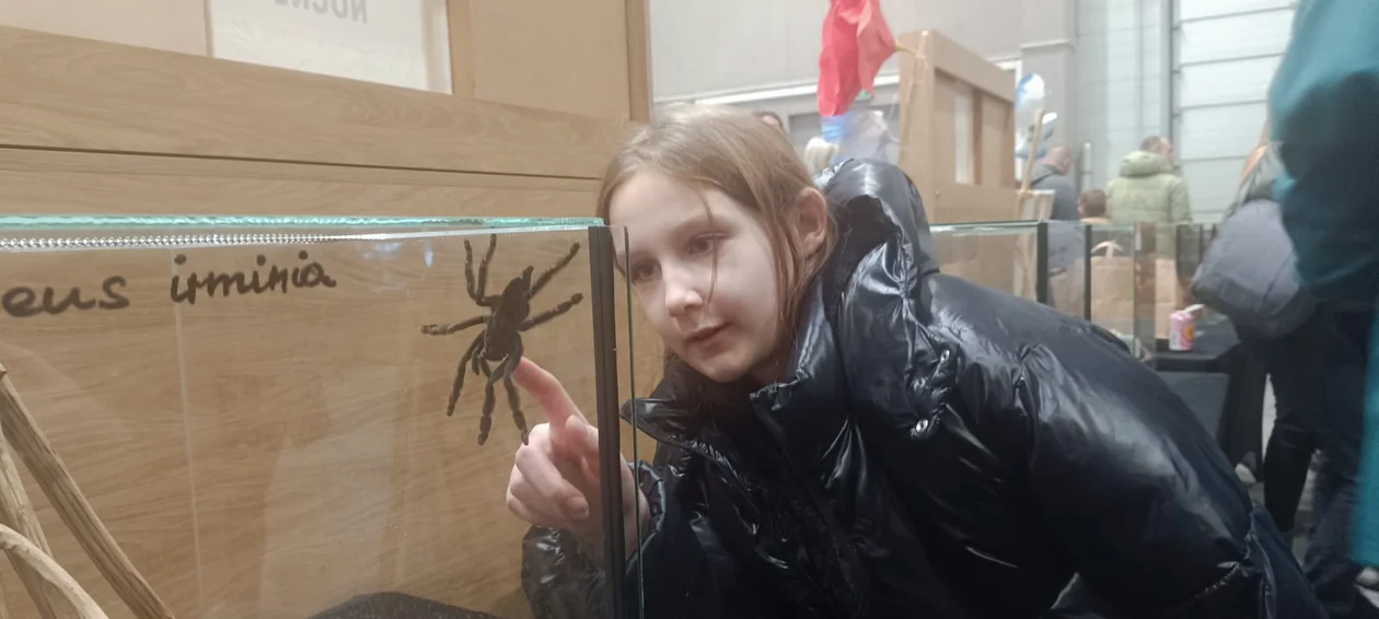 Tłumy na targach zwierząt egzotycznych