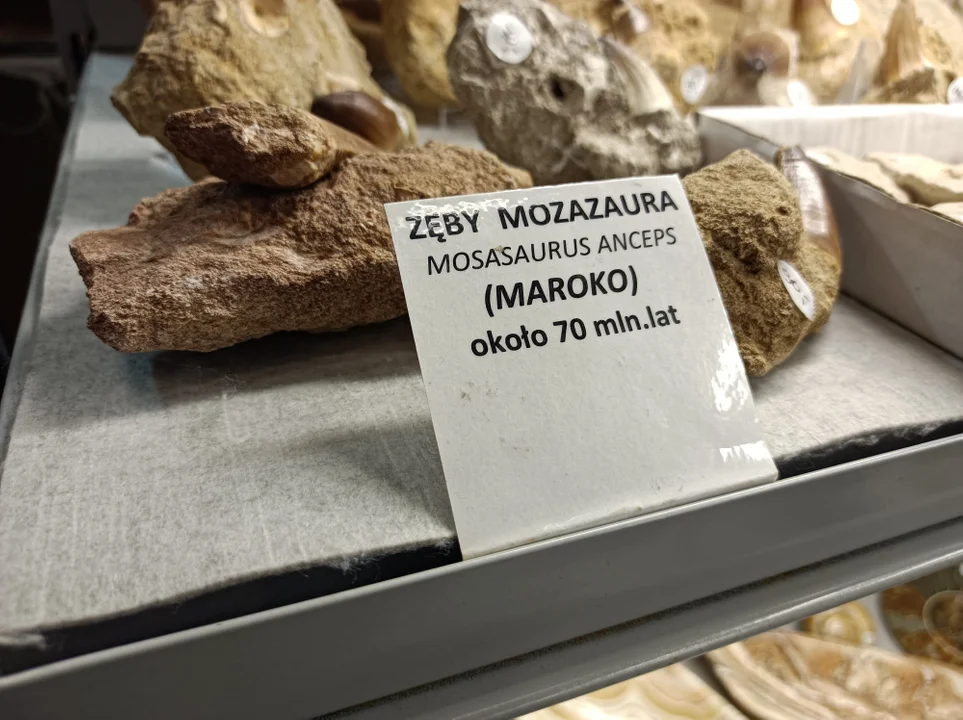 Targi minerałów w łódzkiej hali Expo