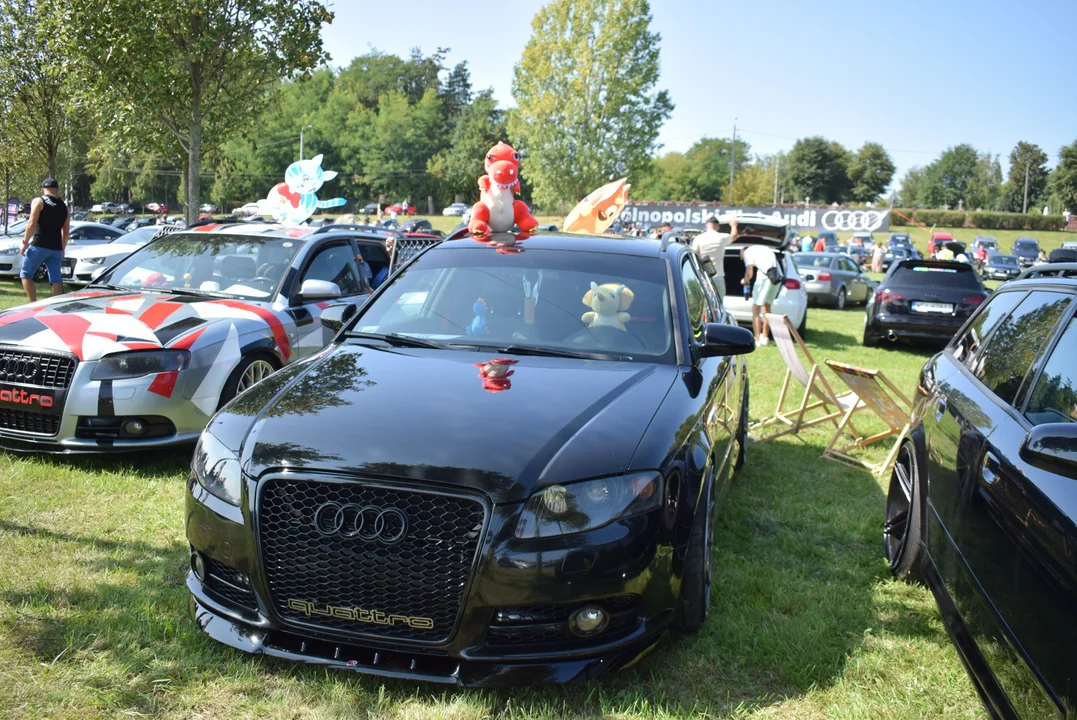 Ogólnopolski Zlot Audi w Strykowie