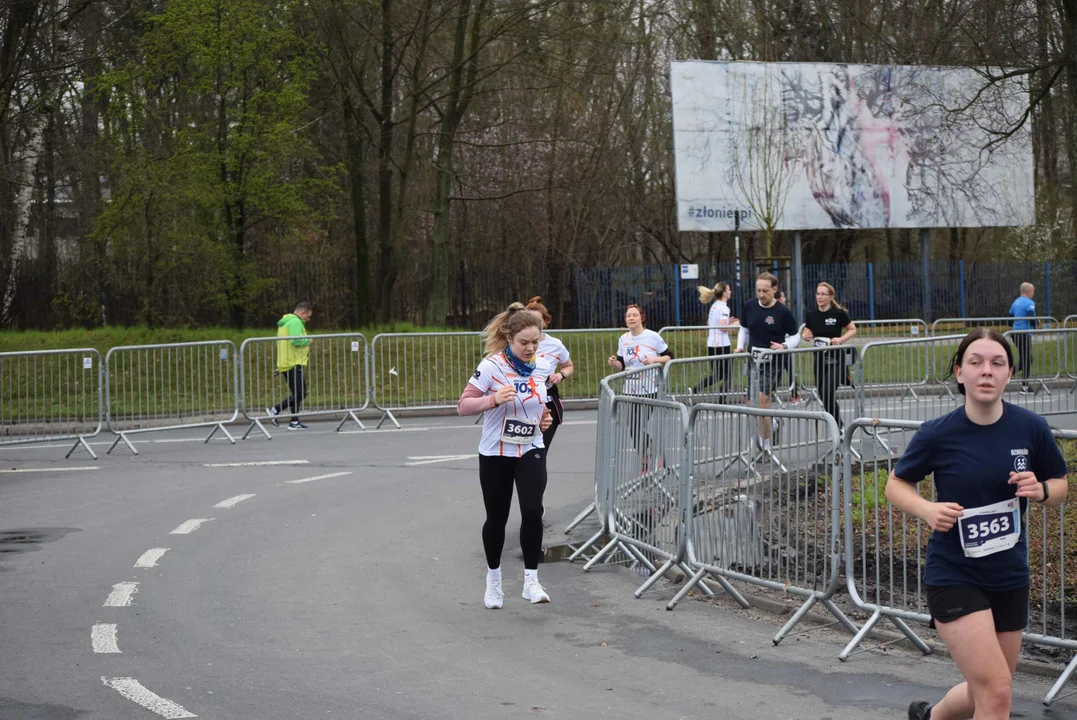 DOZ Maraton ulicami miasta. Zobacz zdjęcia z biegu głównego