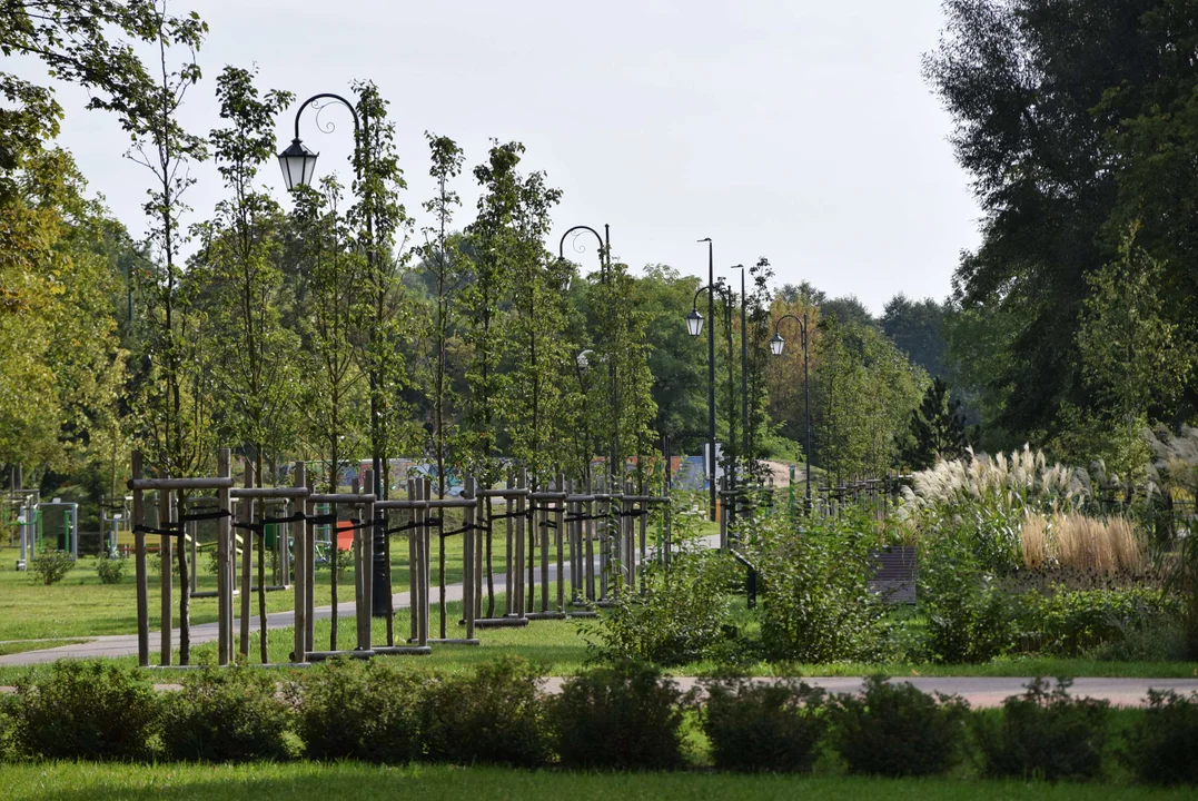 Jak wyglądał park miejski w Zgierzu?