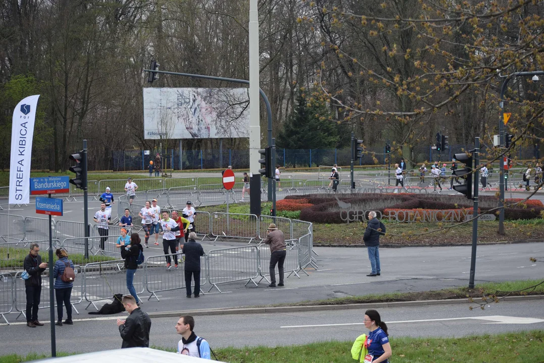 DOZ Maraton ulicami miasta. Zobacz zdjęcia z biegu głównego