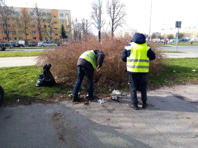 Narozrabiali, a teraz muszą posprzątać. Nie tylko po sobie - Zdjęcie główne