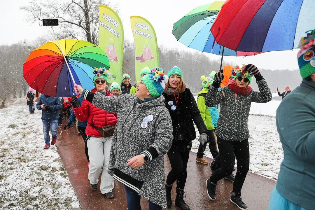 II Zlot Morsów województwa łódzkiego