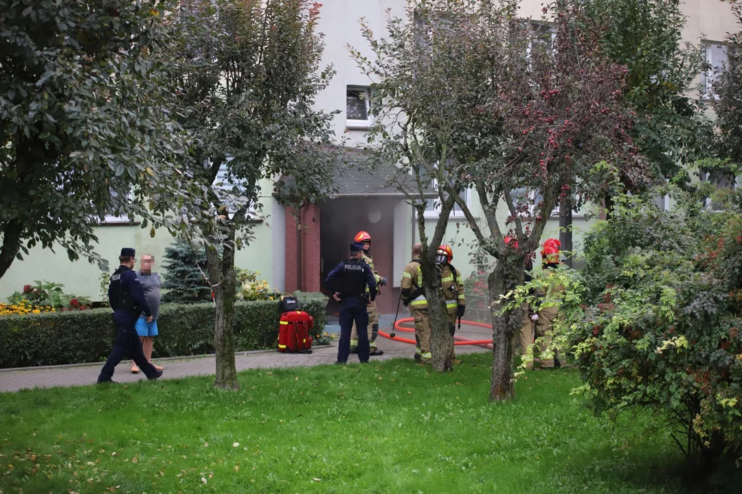 Trwa akcja gaśnicza w jednym z bloków w centrum Kutna. Doszło tam do pożaru w piwnicy