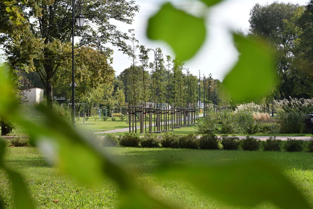 Jak wyglądał park miejski w Zgierzu?