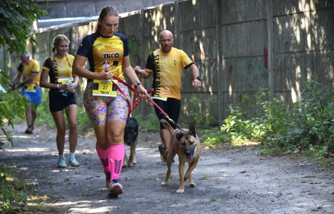 Łodzianie zorganizowali II Bieg z Pupilem. Wzięło w nim udział ponad 50 psów ze schroniska [ZDJĘCIA] - Zdjęcie główne