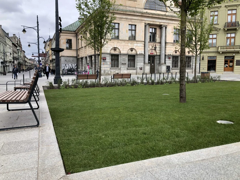 Plac Wolności w Łodzi z nową trawą