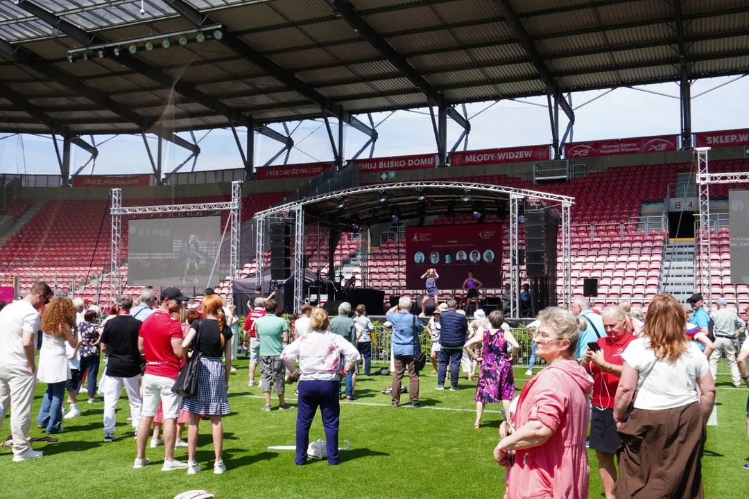 Wydarzenie na murawie stadionu Widzewa