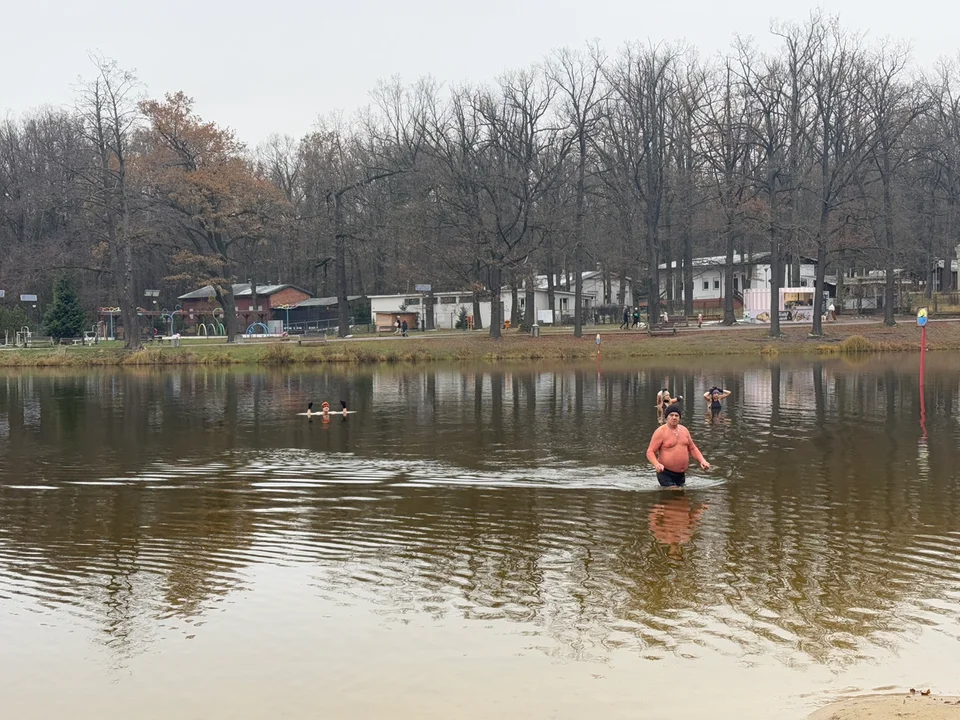 Morsy w Arturówku — Łódź, 24.11.2024 r.