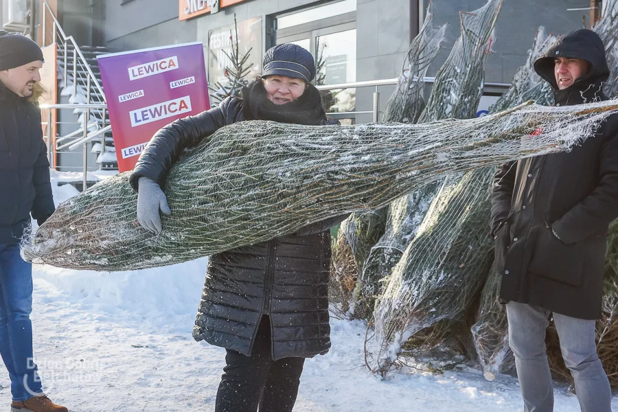 Rozdawali darmowe choinki w Bełchatowie. Koło targowiska ustawiła się kolejka [FOTO] - Zdjęcie główne