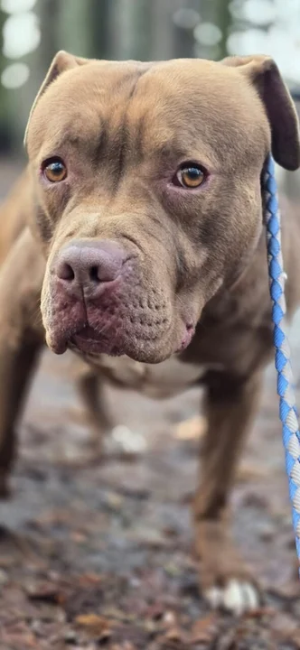 Egon – po stracie właściciela, potrzebuje czasu