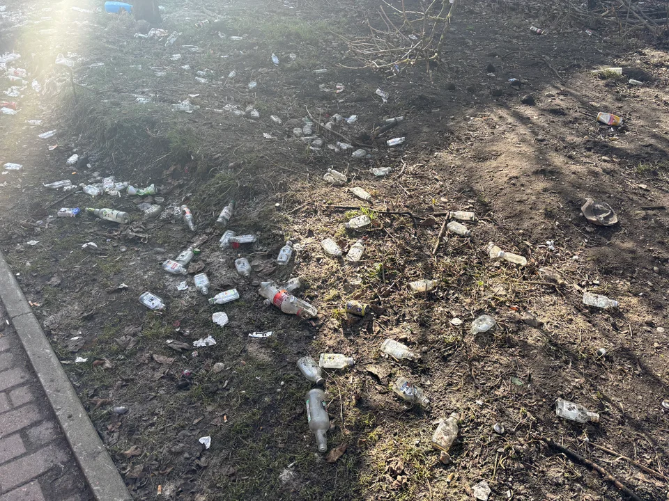"Małpki", puszki i śmieci na trawnikach. Odwilż odsłoniła problem Gdańska