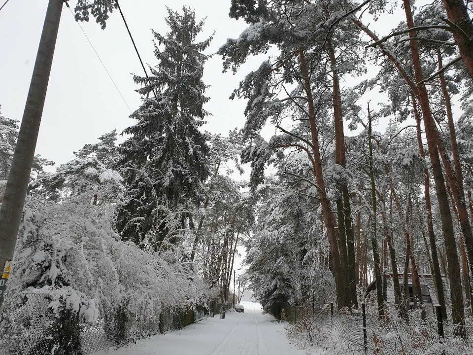 Śnieżna galeria ze Zgierza i Sokolnik-Lasu