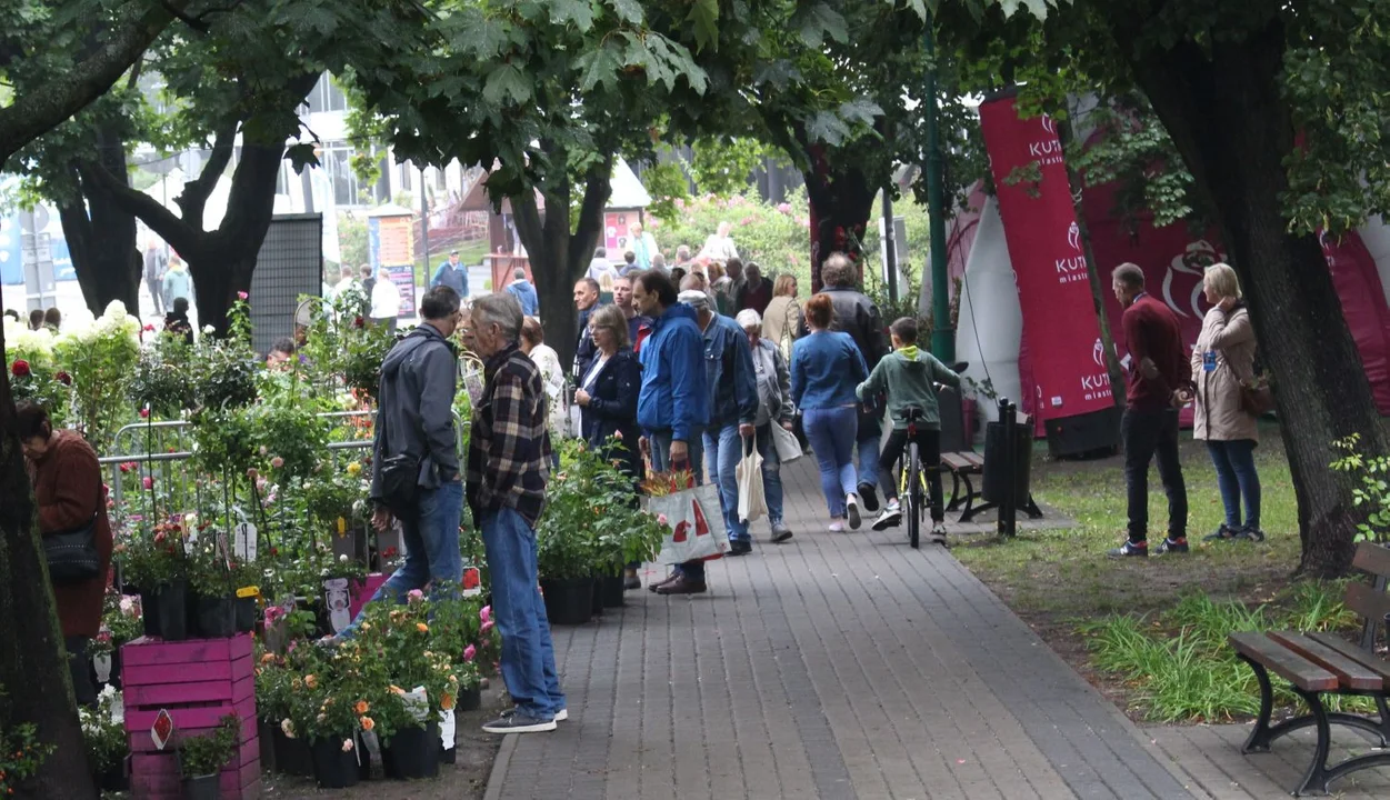 Trwa Święto Róży. Sporo osób odwiedza park Traugutta