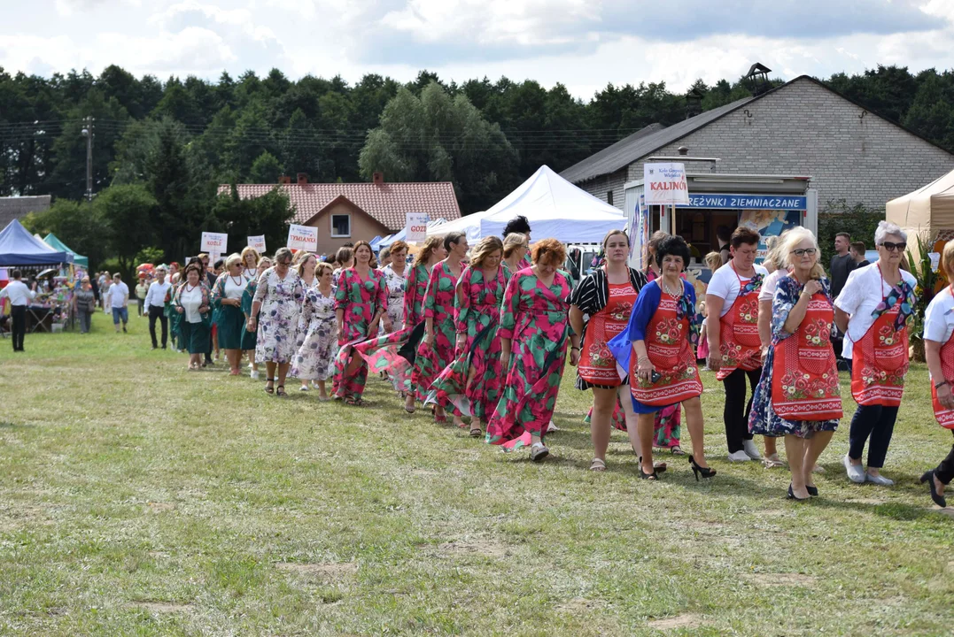 Dożynki gminy Stryków w Warszewicach