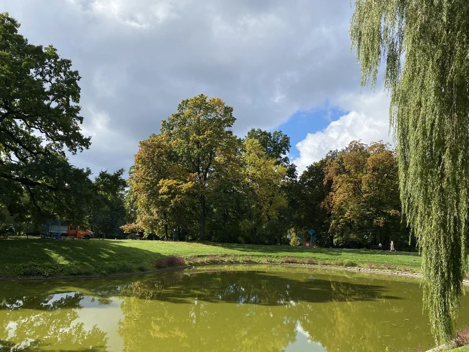 Park Źródliska jesienią