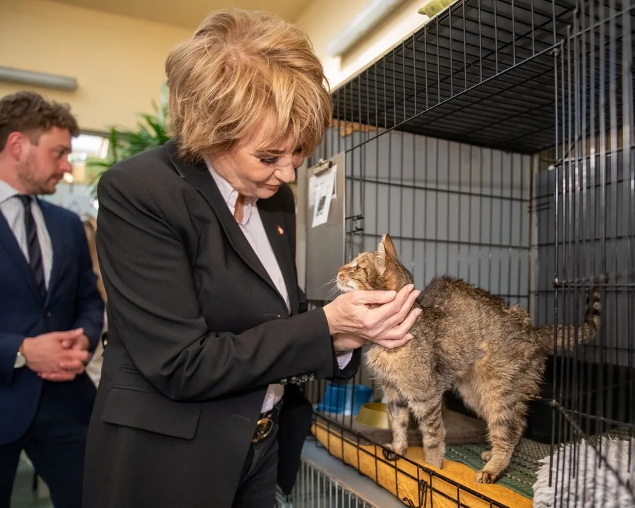 Schronisko dla zwierząt w Łodzi