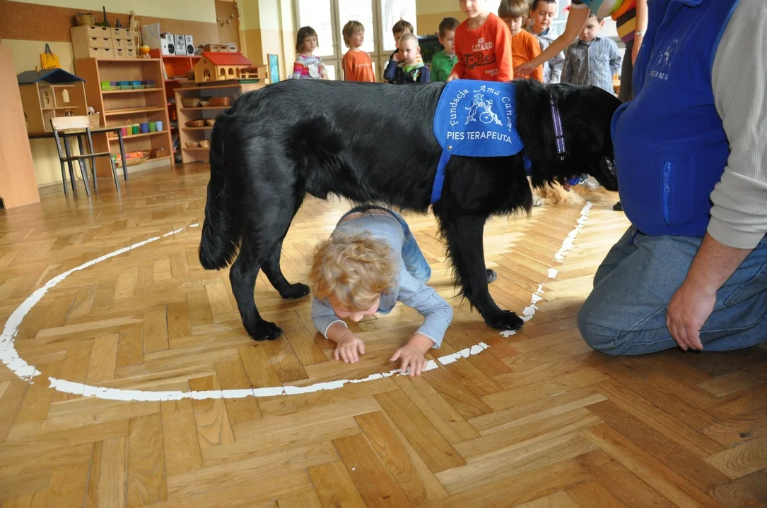 Fundacja Ana Canem Dogoterapia