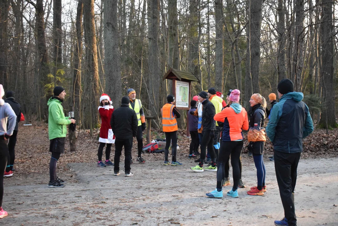 Parkrun w Lesie Łagiewnickim