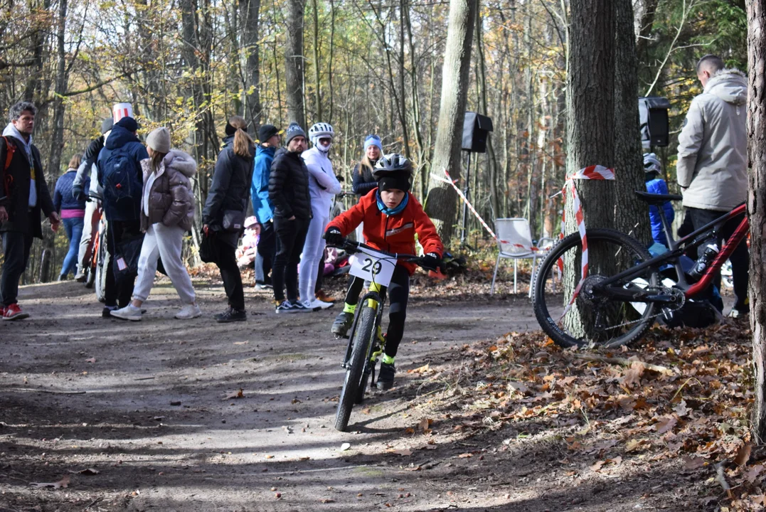 Halloween XC w Lesie Łagiewnickim