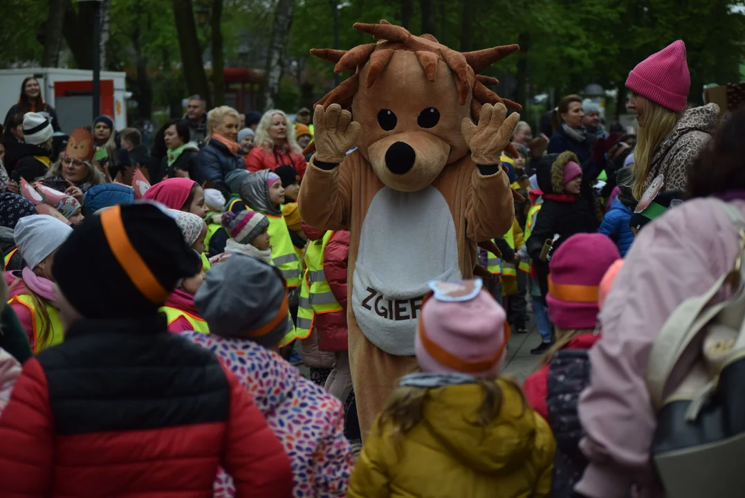 Parada jeży w Zgierzu