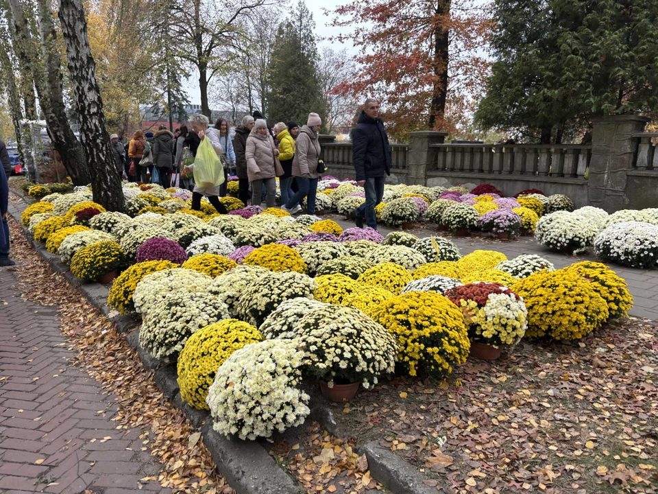 Korki w okolicach cmentarza na Dołach