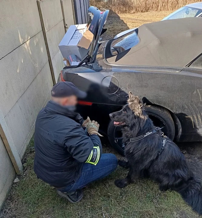 Pies wywąchał kontrabandę