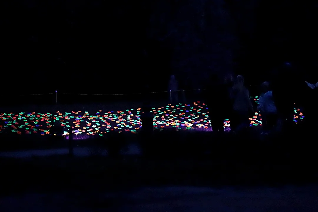 Light Move Festival 2025 – muzyczny drugi dzień