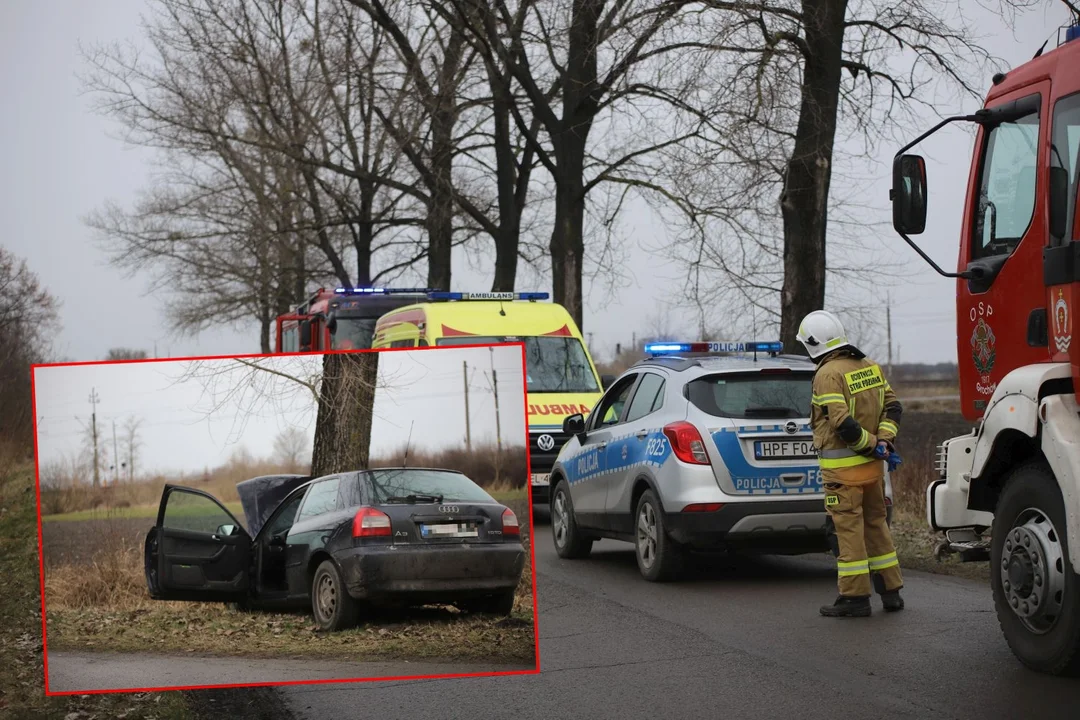 Wypadek pod Kutnem. Osobówka rozbiła się na drzewie [FOTO] - Zdjęcie główne