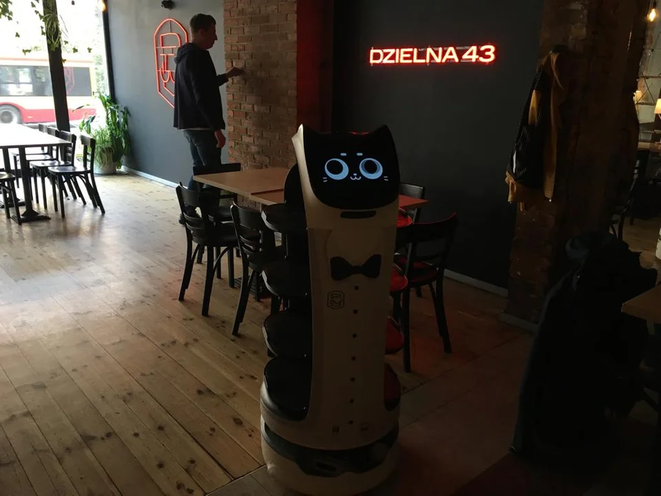 Dzielny robot na Dzielnej 43